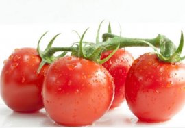蔬菜配送：农产品西红柿
