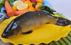 蔬菜配送：淡水活鱼、草鱼